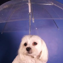 Load image into Gallery viewer, Dog Umbrella