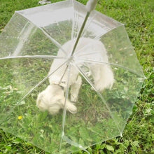 Load image into Gallery viewer, Dog Umbrella