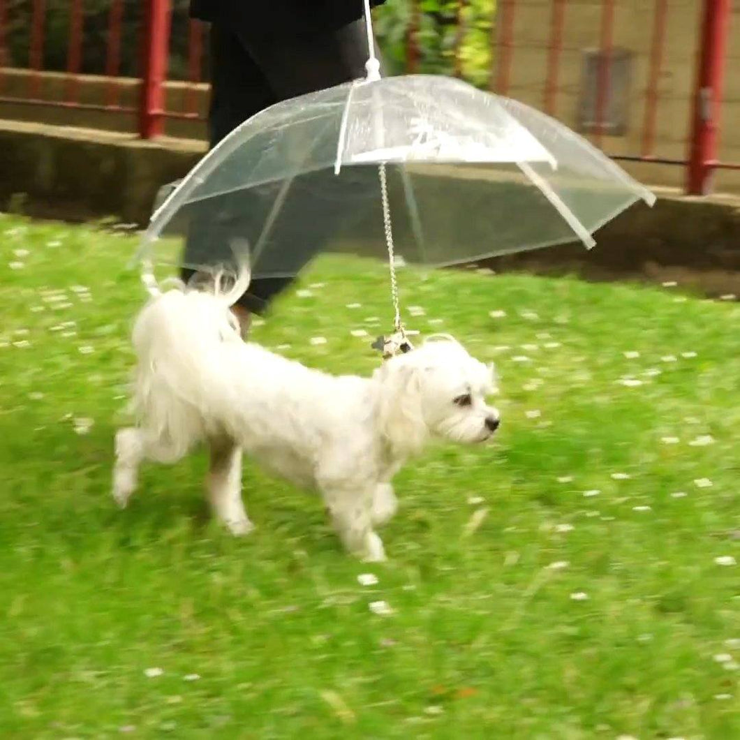 Dog Umbrella