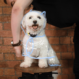 Dog Raincoat