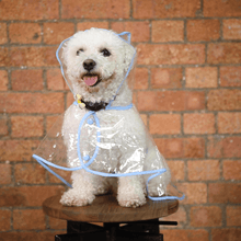 Load image into Gallery viewer, Dog Raincoat