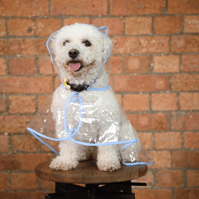 Dog Raincoat