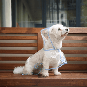 Dog Raincoat