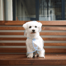 Load image into Gallery viewer, Dog Raincoat