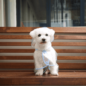 Dog Raincoat