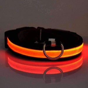 Led Dog  Collar