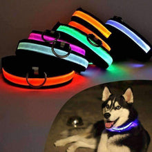 Load image into Gallery viewer, Led Dog  Collar