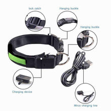 Load image into Gallery viewer, Led Dog  Collar