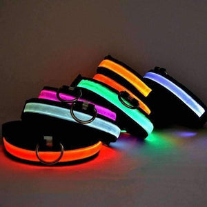 Led Dog  Collar