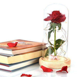 Magical Rose Flower Lamp