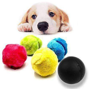 Magic Rolling Ball Toy