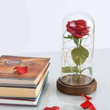 Load image into Gallery viewer, Magical Rose Flower Lamp