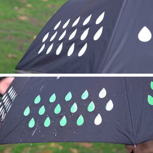 Colour-Changing Umbrella