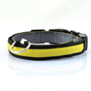 Led Dog  Collar