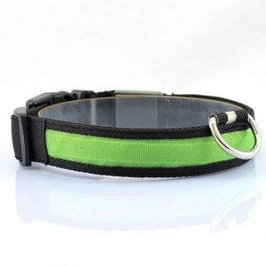 Led Dog  Collar